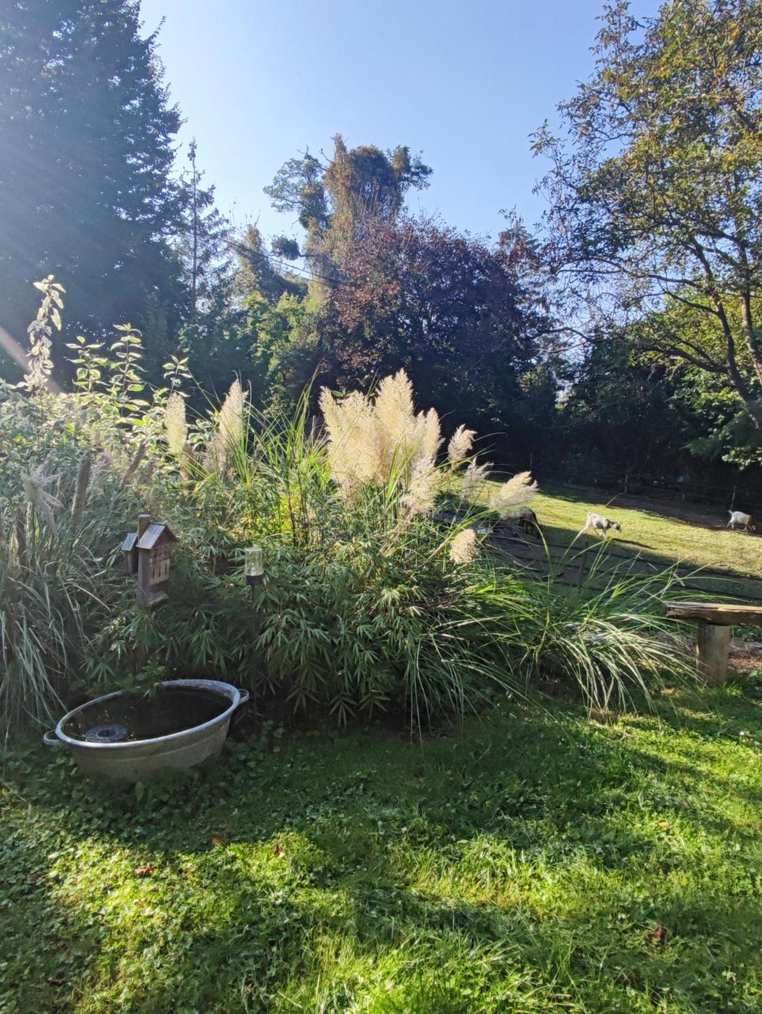 Au Pre De Mukky Villa Andenne Exterior foto
